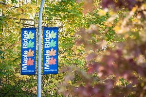 Estudia en el extranjero | KAKO International 7